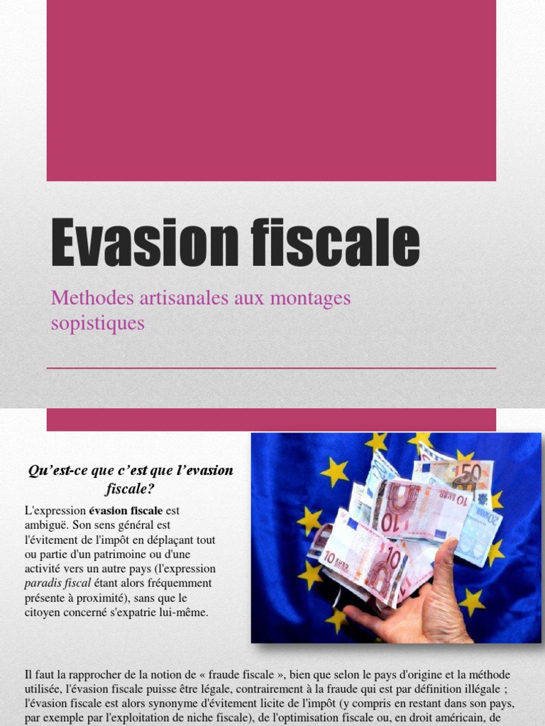 Evasion Fiscale Pdf Fraude Fiscale Financement Du Gouvernement