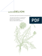 The Wild Wisdom of Weeds: Dandelion