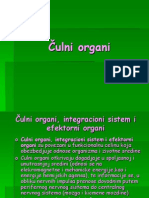 Čulni Organi