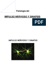 2- Fisiologia Impulso Nervioso