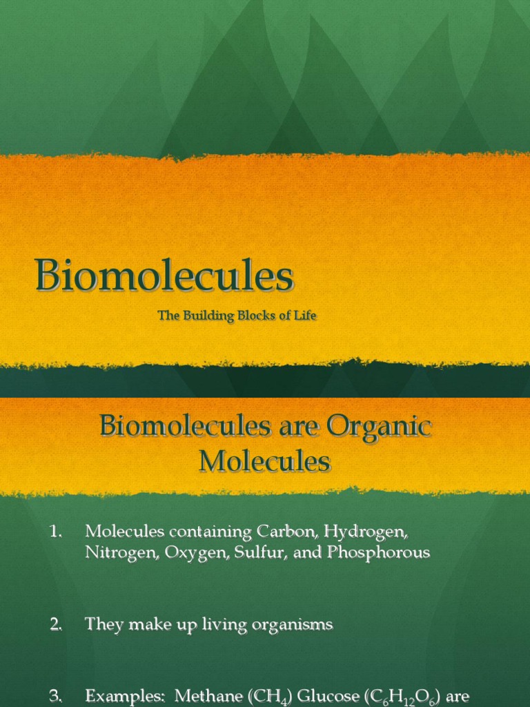 Biomolecules The Building Blocks of Life PDF Nucleic Acids