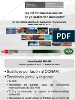 Alcances Del Sistema Nacional de Evaluacion y Fiscalizacion Ambiental