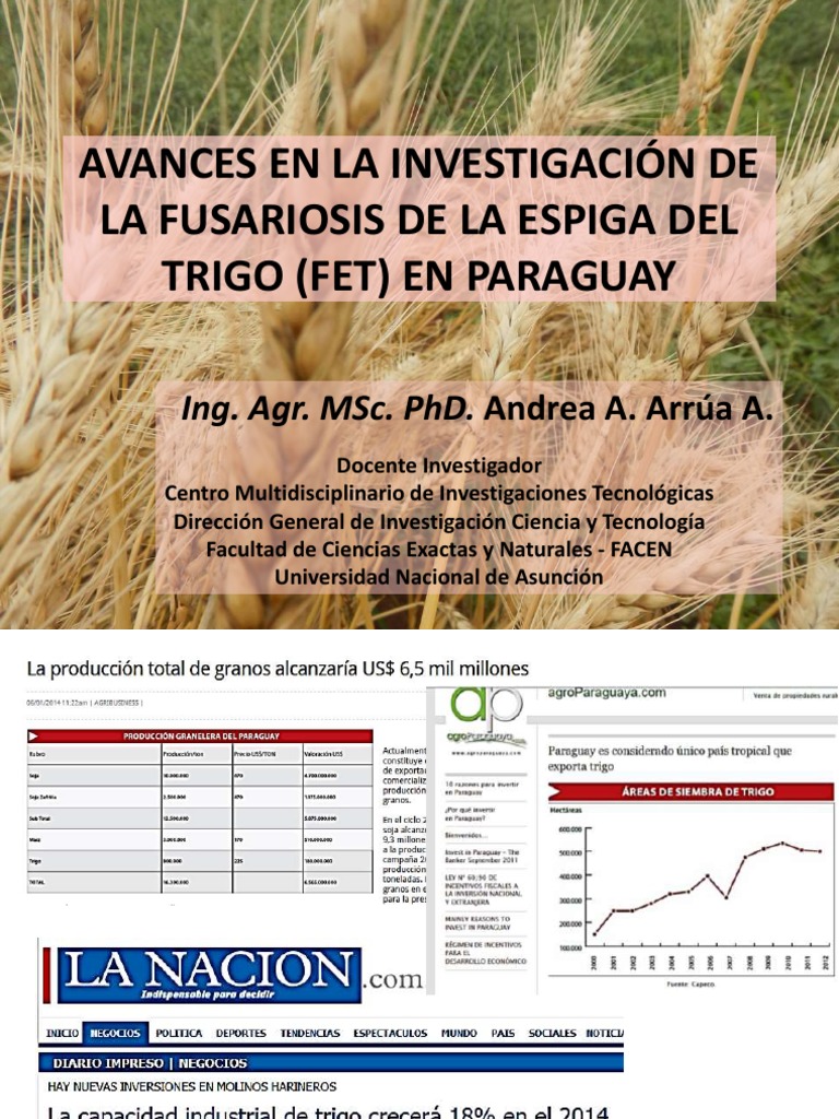 Fusariosis del Trigo en Paraguay | PDF | Ciencias de la vida | Biología