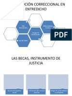 La Institución Correccional en Entredicho