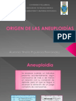 Origen de Las Aneuploidías