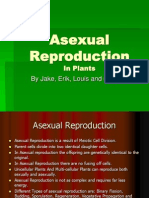 Asexual Reproduction Shan