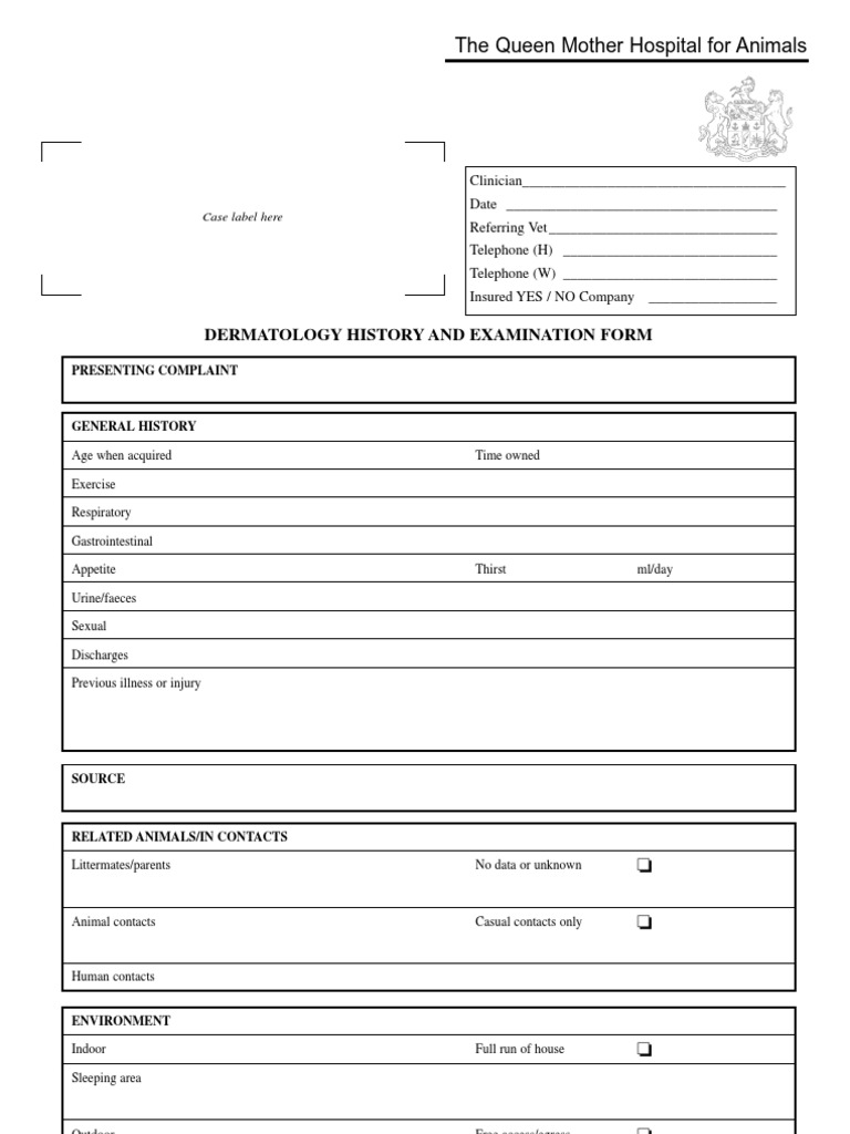 Dermatology History and Examination Form | PDF