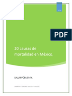 T1 20 Causas de Mortalidad en México