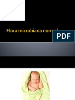 Flora Microbiana Normal