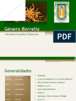 Género Borrelia