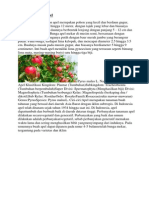Download Deskripsi Tanaman Apel by EKo Sup SN238505100 doc pdf