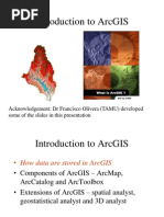 Arc GIS