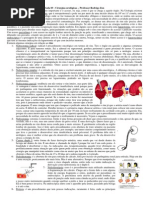 CIRURGIAS UROLÓGICAS