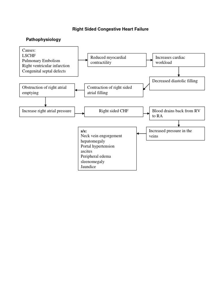 Right Sided Congestive Heart Failure Causes | PDF