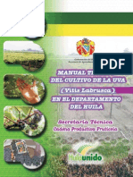 Sector Agricola (Uva)