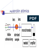 Diapositivas Tema Absorcion