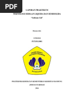 Download Laporan Praktikum Gel by Aikholisoh05 SN238534508 doc pdf
