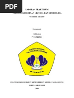 Download LAPORAN PRAKTIKUM emulsidocx by Aikholisoh05 SN238537194 doc pdf