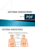 Neup-h01 Sistema Endocrino