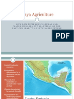 Maya Agriculture Presentation