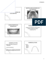 Morfología Externa de Los Dientes PDF