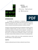 Practica_4.pdf