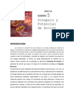 Practica_5.pdf