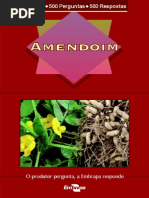 Amendoim- 500 Perguntas