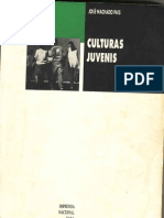 Culturas Juvenis - José Machado Pais - Introdução