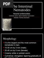 Download The Intestinal Nematodes by blue_blooded23 SN23858762 doc pdf