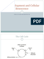 Bio410 Cellular Senescence