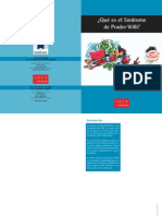 What Is PWS Spanish PDF