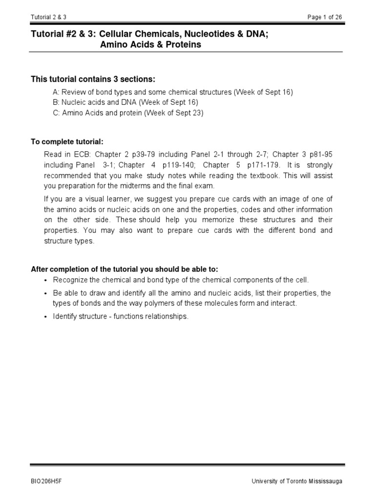 worksheet Nucleic Acid Worksheet bio 206 tutorial 02 03 base pair nucleic acid double helix
