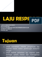 LAJU RESPIRASI.pptx