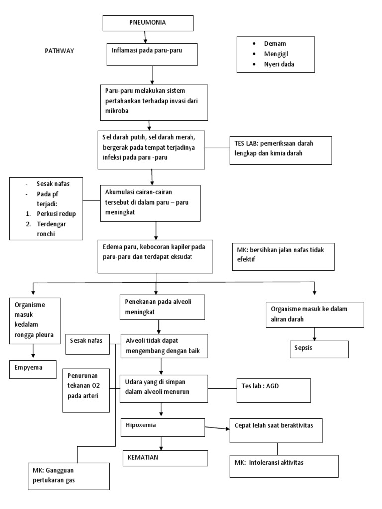 PATHWAY Pneumonia