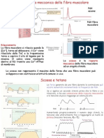 Meccanica Muscolare