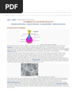 Download Scanning Electron Microscopy by nanorks SN23862269 doc pdf
