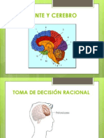 Mente y Cerebro