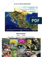 elvalordelabiodiversidad-110907212346-phpapp01.pptx