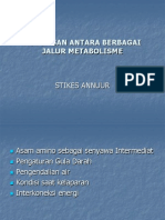 Hubungan Antara Berbagai Jalur Metabolisme