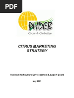 Download Citrus Marketing Strategy by rhain1968 SN23865477 doc pdf