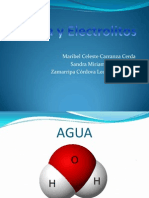 Agua y Electrolitos