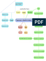 Organização e Equilíbrio Biológico