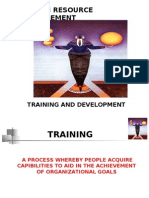 Training & Development