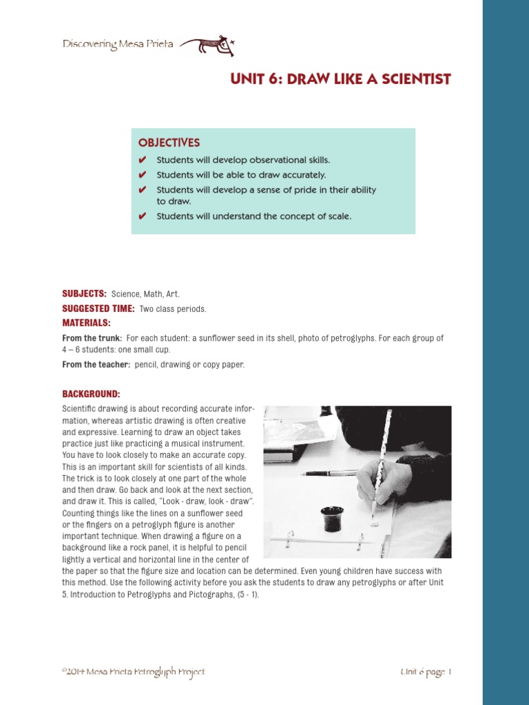 Unit 6: Draw Like A Scientist: Objectives | PDF | Drawing | Cognition