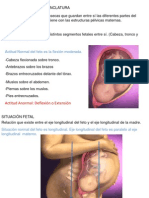 Estatica Fetal