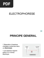 Download ELECTROPHORESE by AE SN23869077 doc pdf