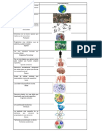 Niveles de Organización Biologia