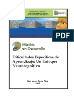 Dificultades Especificas de Aprendizaje Un Enfoque Neurocognitivo