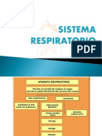 Aparato Respiratorio 091007190348 Phpapp01